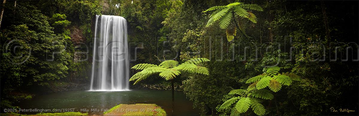 Peter Bellingham Photography Milla Milla Falls - QLD (PBH4 00 16940)